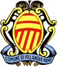 Stemma Municipality of Villanova Monferrato